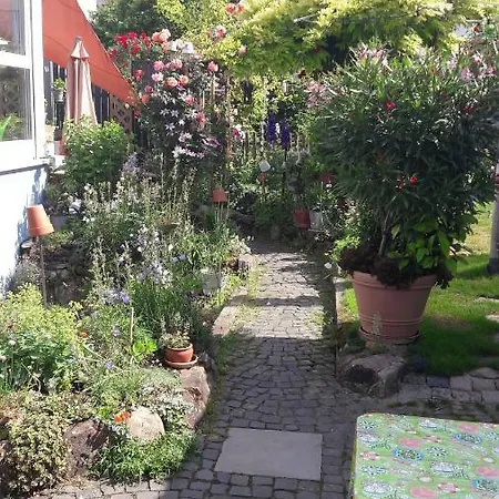 Apartment Frei *