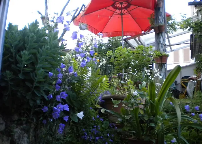 公寓 齐默尔弗雷酒店