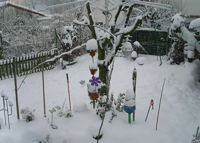 公寓 齐默尔弗雷酒店