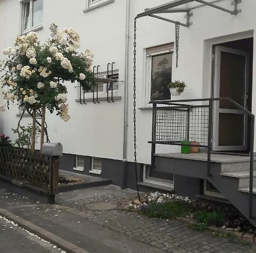 齐默尔弗雷酒店 *