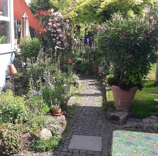 公寓 齐默尔弗雷酒店 *